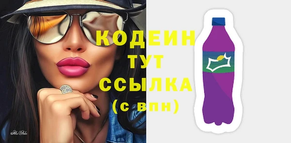 индика Мегион