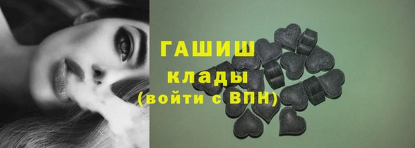 индика Мегион