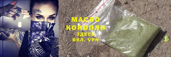индика Саяногорск