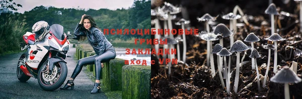 индика Мегион