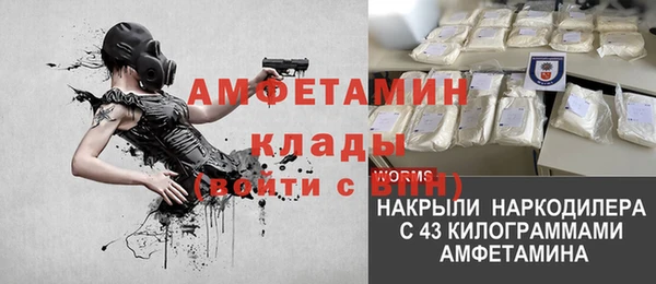 индика Мегион